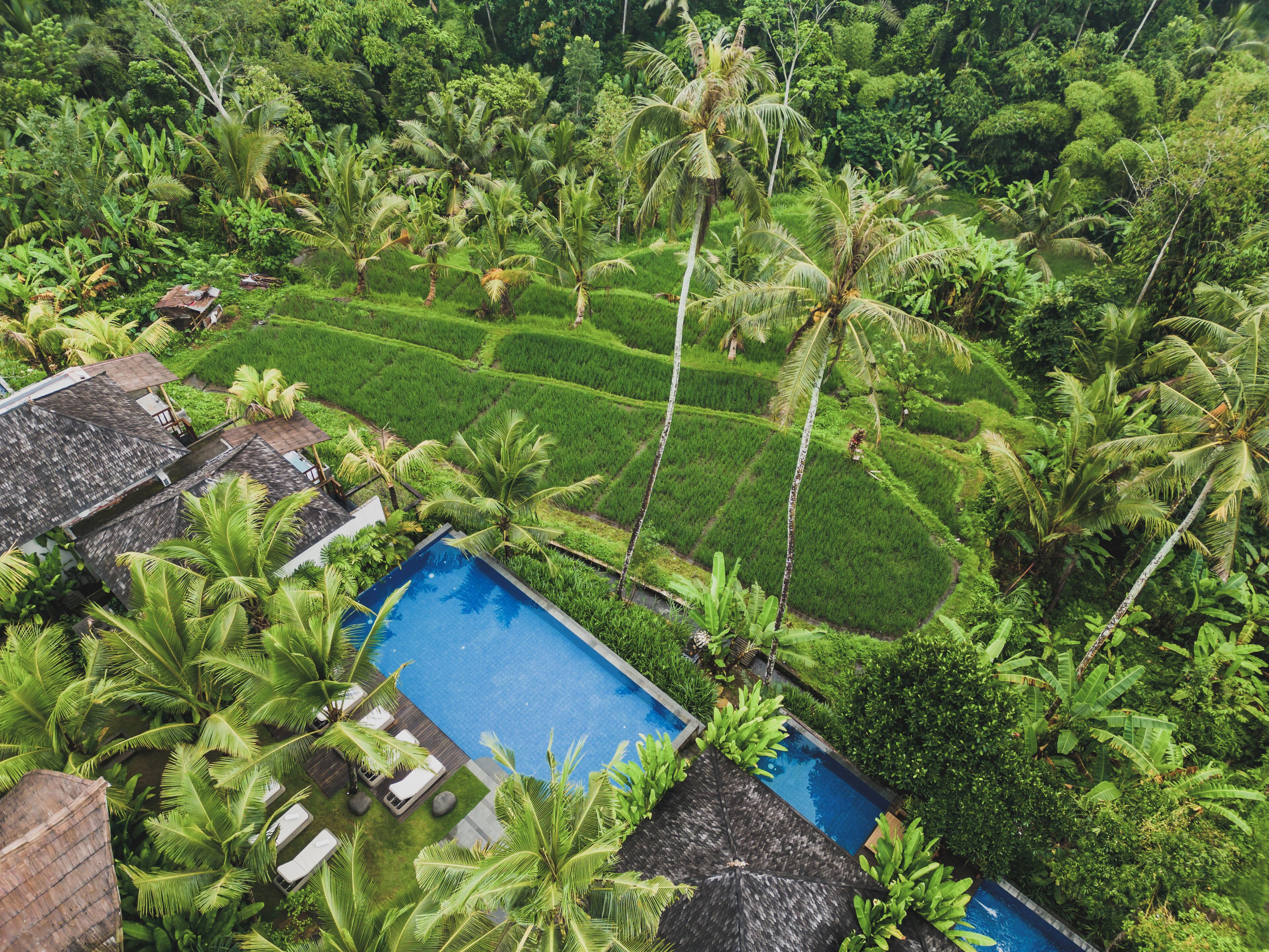 Foto - Maar Resort & Spa Ubud by Ini Vie Hospitality