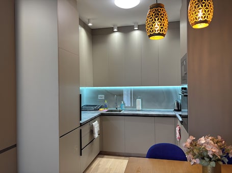 Private kitchen. TREBINJE – CENTER: LUXURY ONE-BEDROOM APARTMENT "ELIZA" ON TREBIŠNJICA RIVERBANK