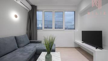 42-inch TV with digital channels