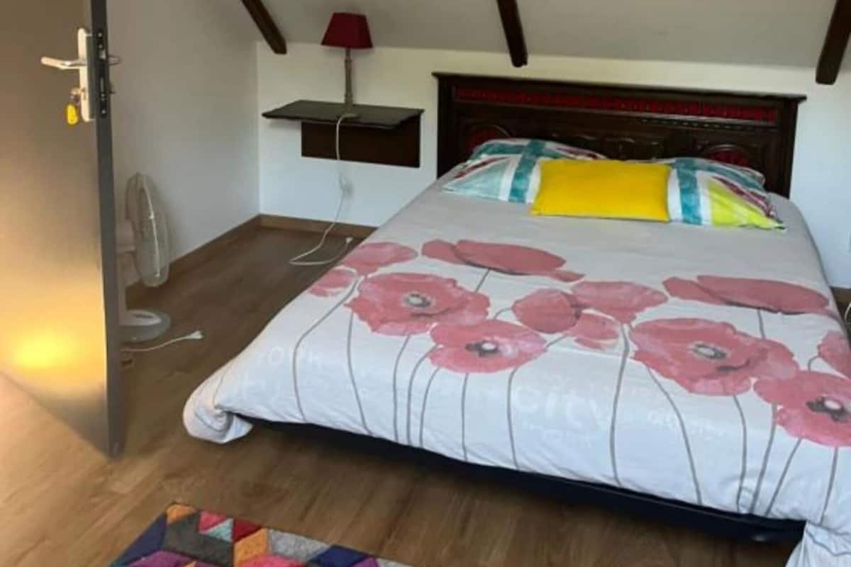Habitación doble estándar | Insonorización, tabla de planchar con plancha y wifi gratis