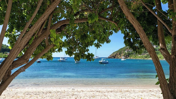 A beach with clear blue water, boats, and trees. - Serenity Villa- Steps from Beach, Family Friendly (Cruz Bay)