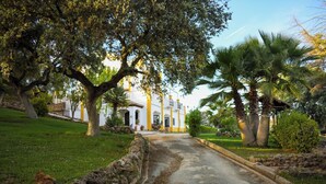 Un sendero pavimentado conduce a un edificio blanco con detalles amarillos, rodeado de vegetación exuberante y palmeras.