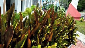 Η είσοδος ε νός ξενοδοχείου με μια μεγάλη επιγραφή που γράφει «Baysuites» και ένα εντυπωσιακό κόκκινο και λευκό γλυπτό στο προσκήνιο.