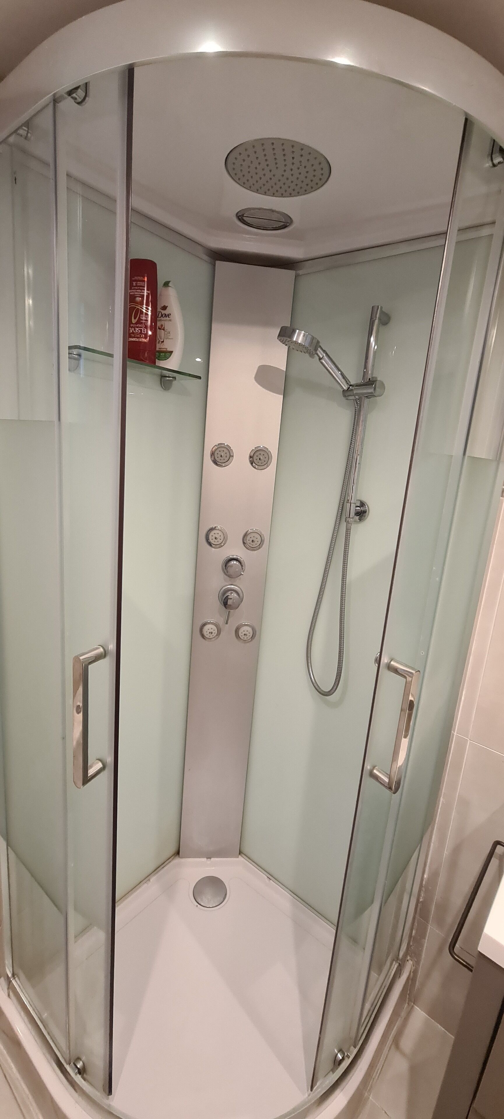 Hair dryer, soap, toilet paper