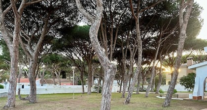 Pinos Verdes .