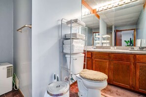 Shower, hair dryer, towels - ‼️Chic Basement Getaway w/ AC & Fire Pit (North Saint Paul)