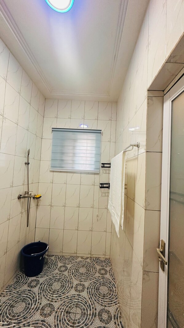 Shower, towels, soap, toilet paper