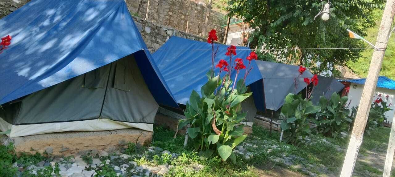 Plusieurs tentes recouvertes de bâches bleues, une grande plante aux fleurs rouges et, au fond, un mur de pierres.