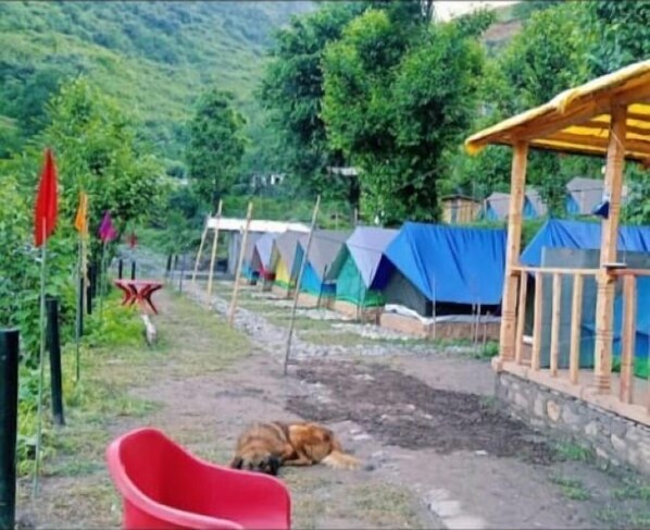 Interior - Kinara Camping & Adventure (Chakrata)