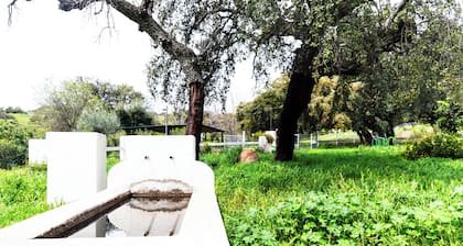 2.5 km from Higuera de la Sierra. Ideal house for families