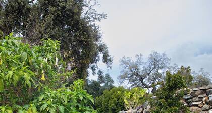 2.5 km from Higuera de la Sierra. Ideal house for families