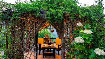 Tuin