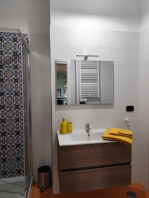 Shower, hair dryer, bidet, towels