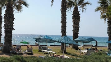 Plage, chaises longues, parasols, 3 bars de plage
