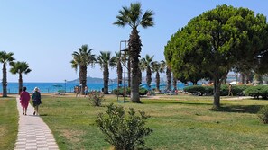 Am Strand, Liegestühle, Sonnenschirme, 3 Strandbars