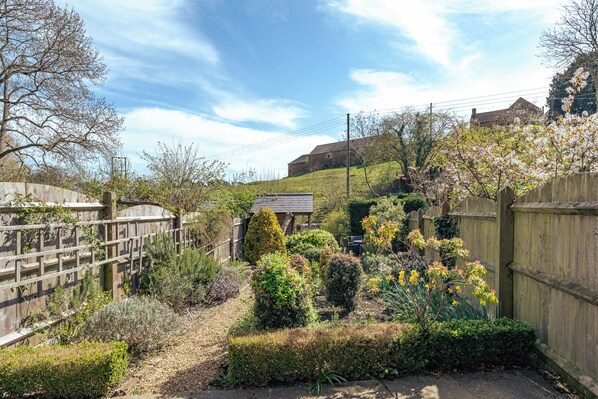 Un jardín con diversas plantas y una valla de madera.