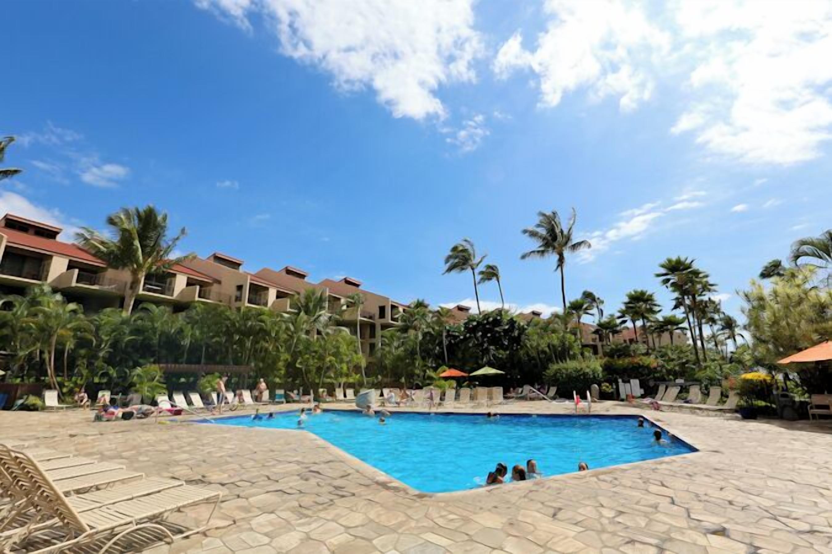 A swimming pool surrounded by palm trees and lounge chairs, with a hotel building in the background.