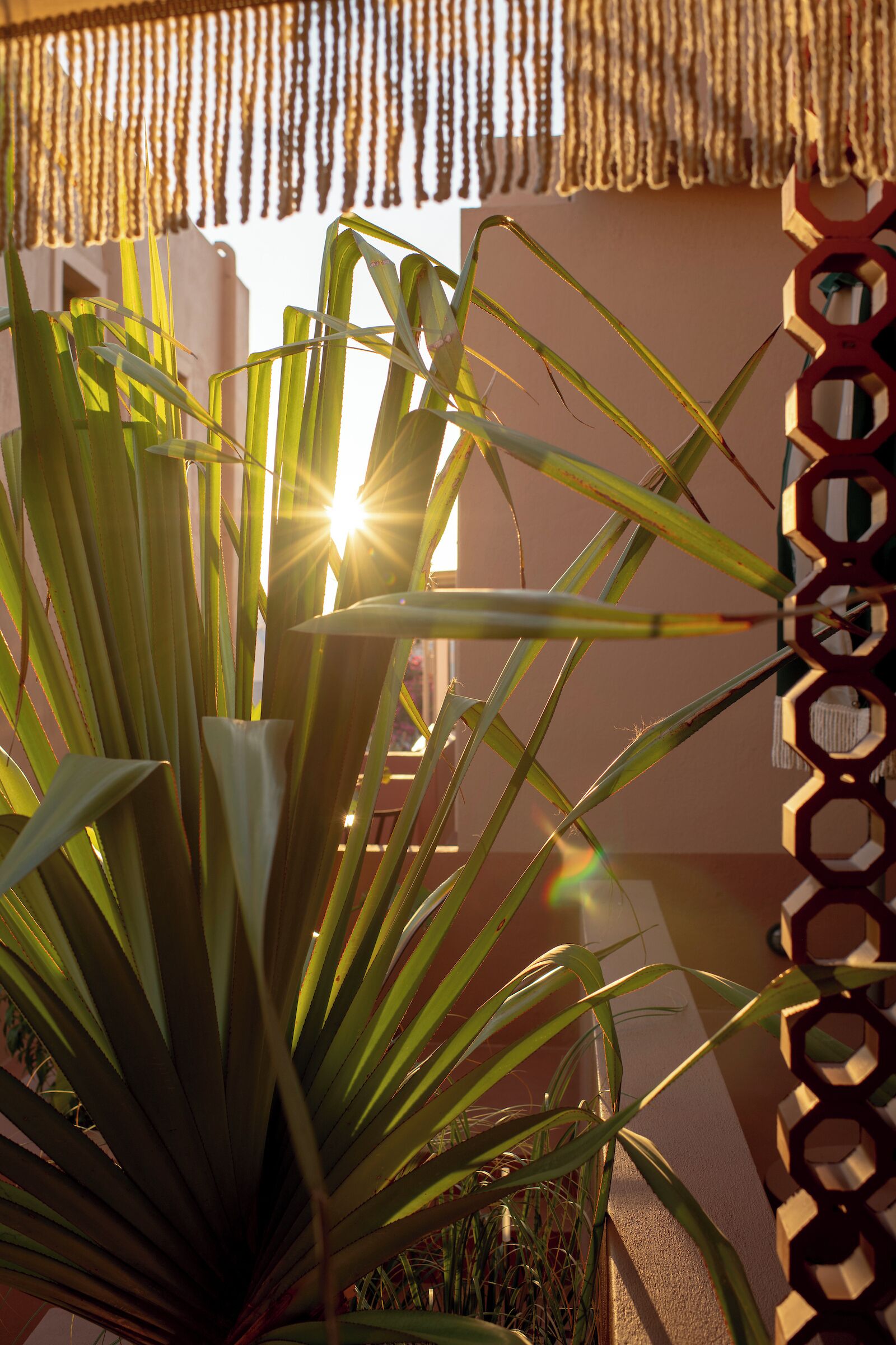 Foto - Terra Verde Oia by K&K