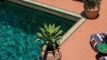 Seasonal outdoor pool, pool umbrellas, pool loungers