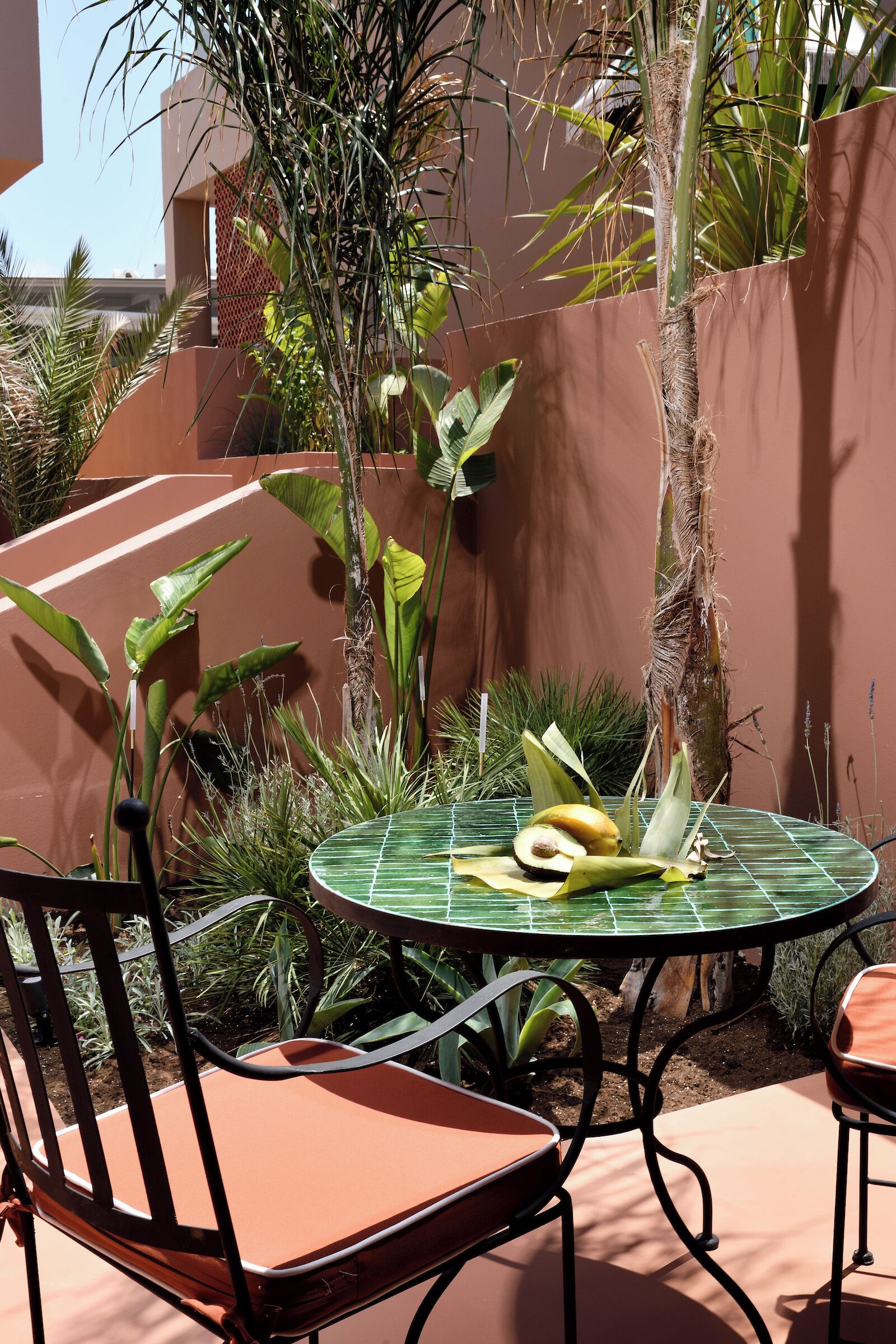 A round table with chairs, surrounded by plants and a palm tree.