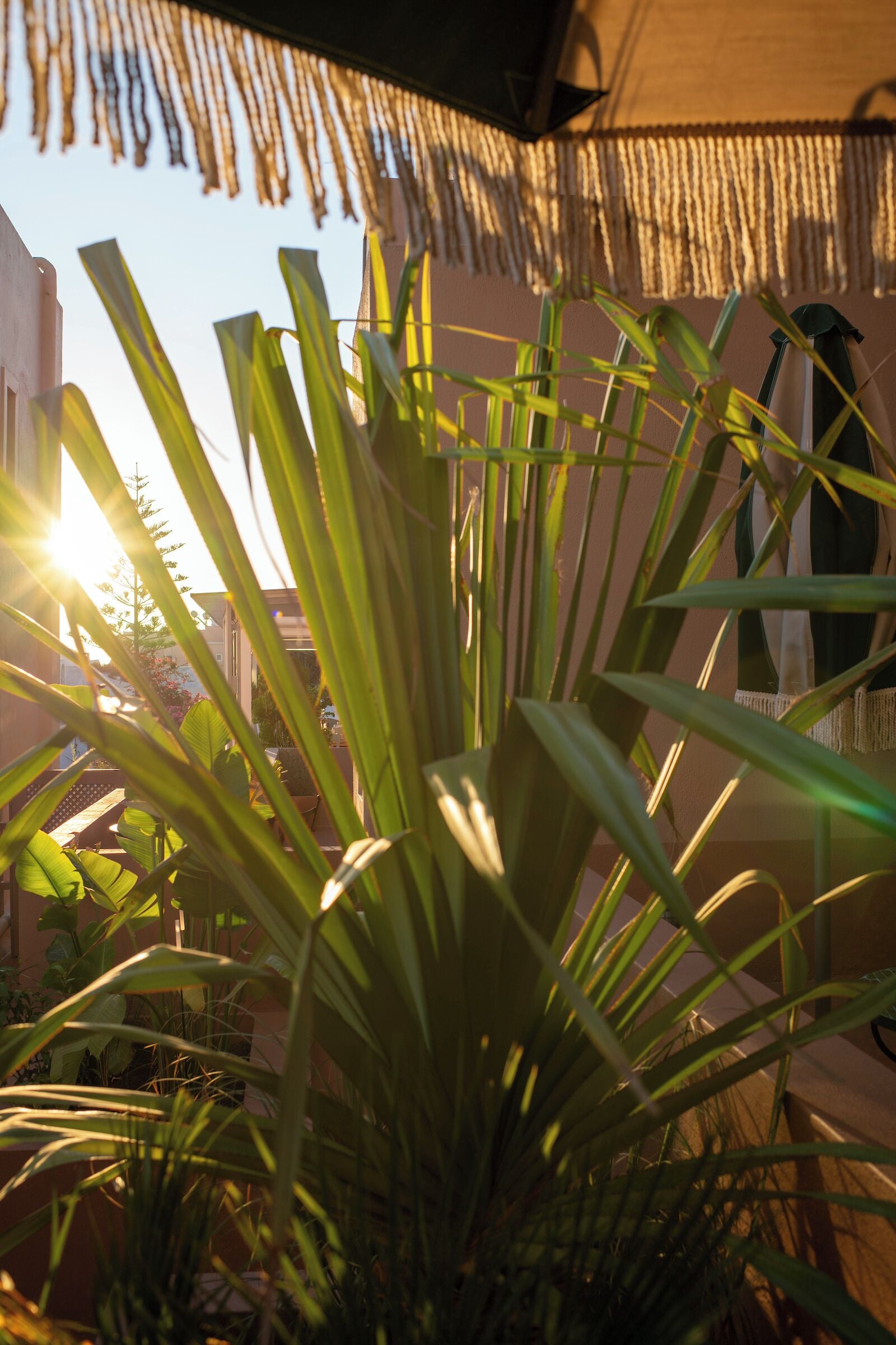 Foto - Terra Verde Oia by K&K