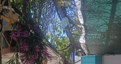 Adamarin Terrace otel