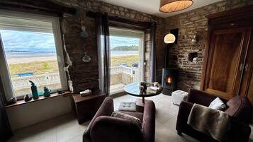 Télévision, cheminée, espaces bureaux