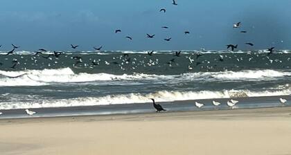 The Blue Heron - 2-bedroom condo in charming Manteo. Relax and enjoy