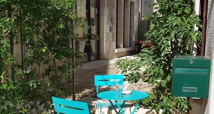 Grande maison centre historique Saint Aignan - Zoo Beauval - ChĂąteaux de Loire