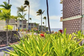 Apartment (1 Bedroom) | Interior - 2 Mi to Town: Kailua-kona Condo Steps From Beach (Kailua-Kona)