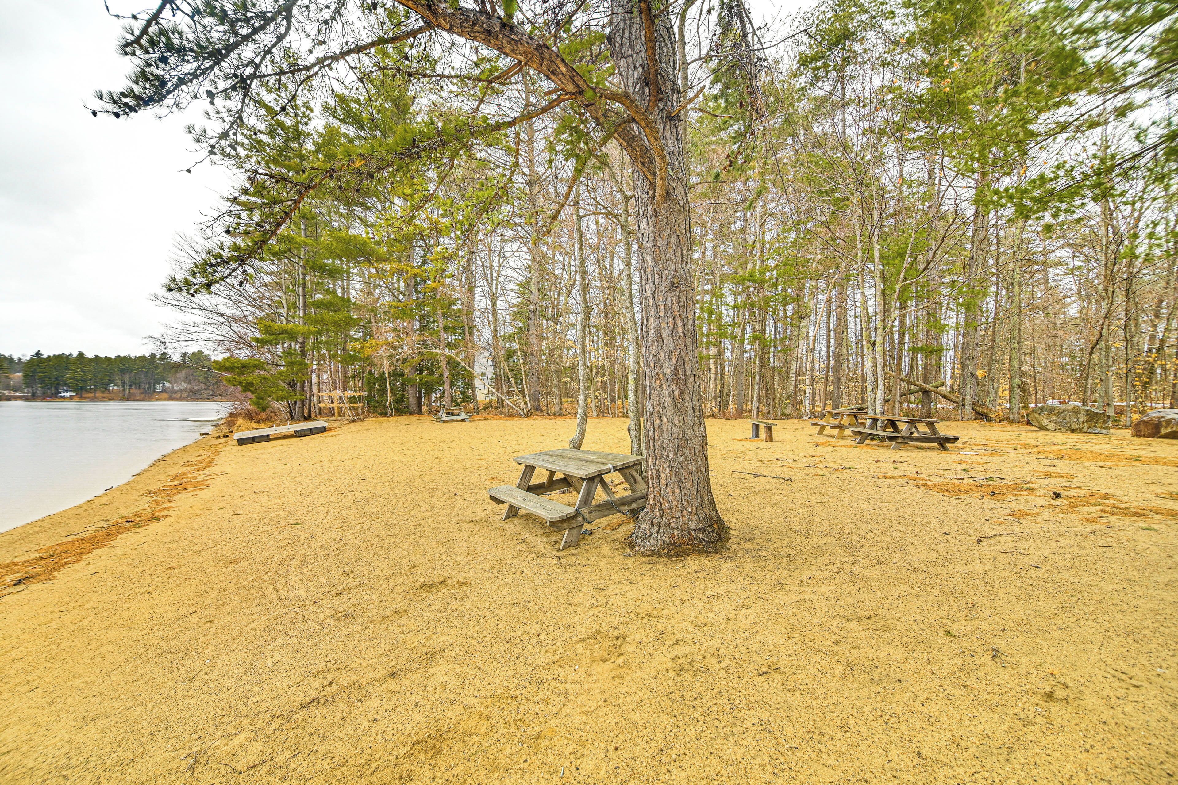 A sandy beach with picnic tables and benches, surrounded by trees.