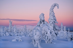 Escursioni con racchette da neve