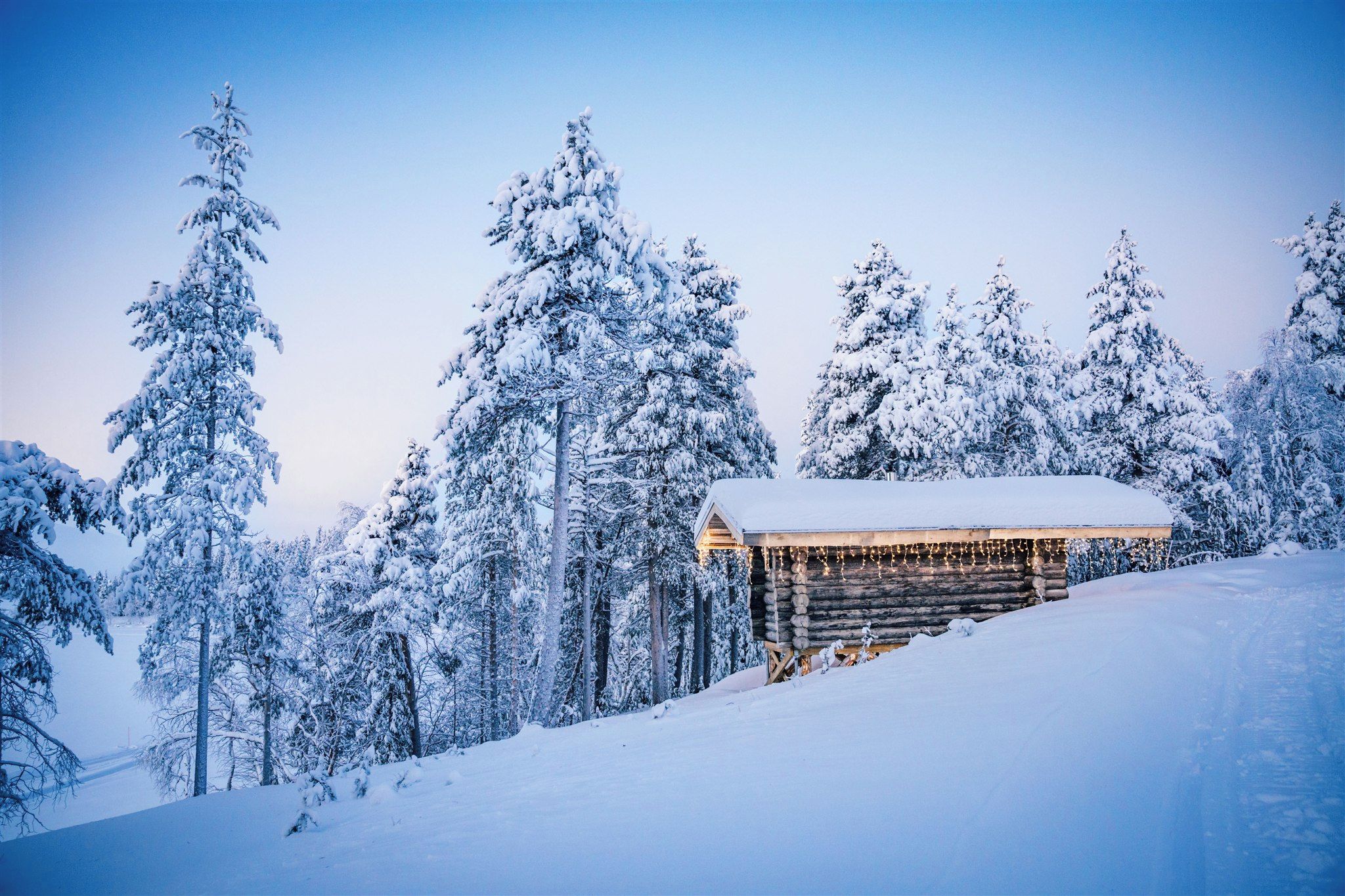 A snow-covered cabin with a log structure and a wooden roof, surrounded by snow-laden trees.