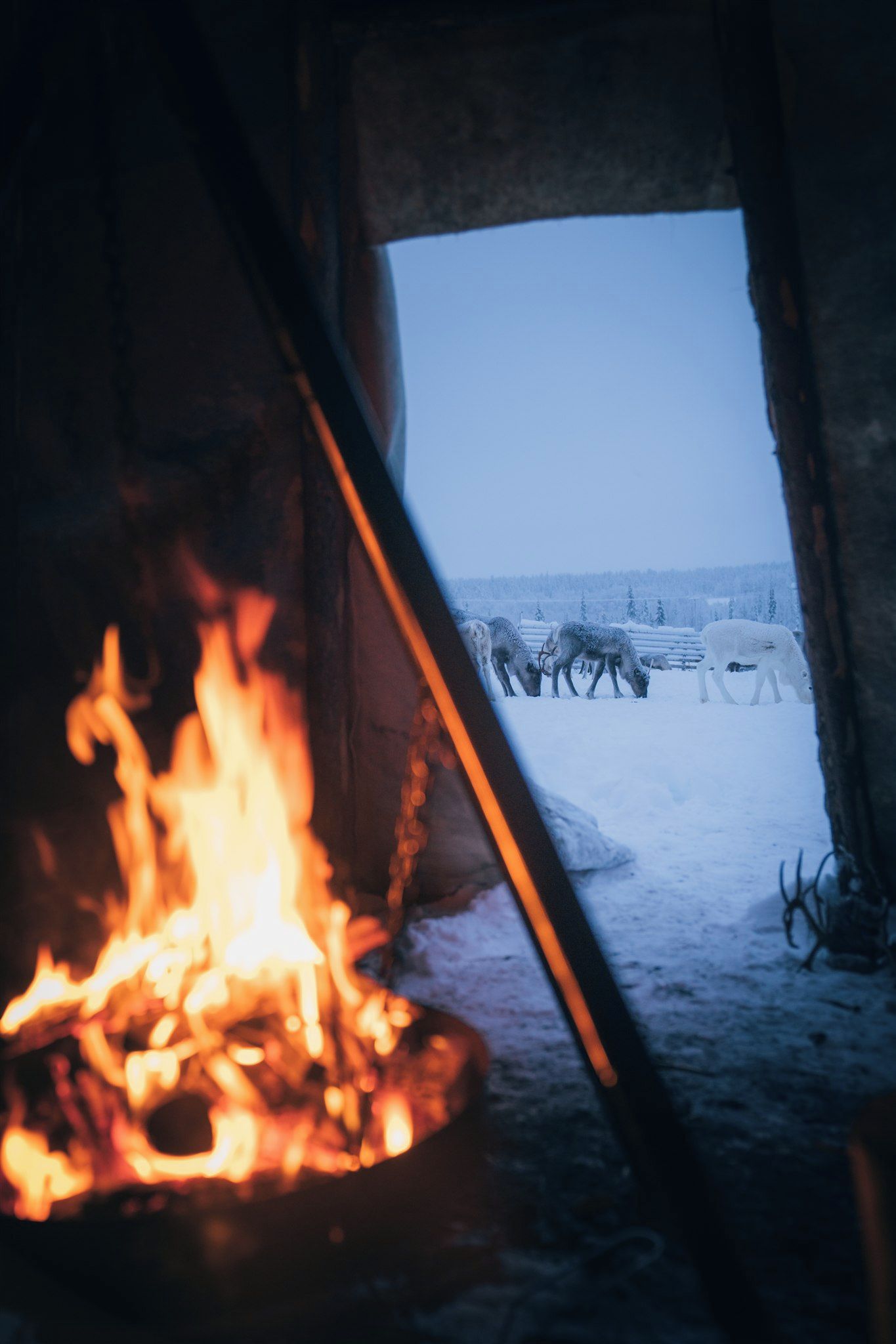 A view through a window with a fire burning inside, and a snowy landscape with animals outside.