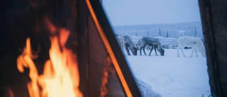 A view through a window with a fire burning inside, and a snowy landscape with animals outside.
