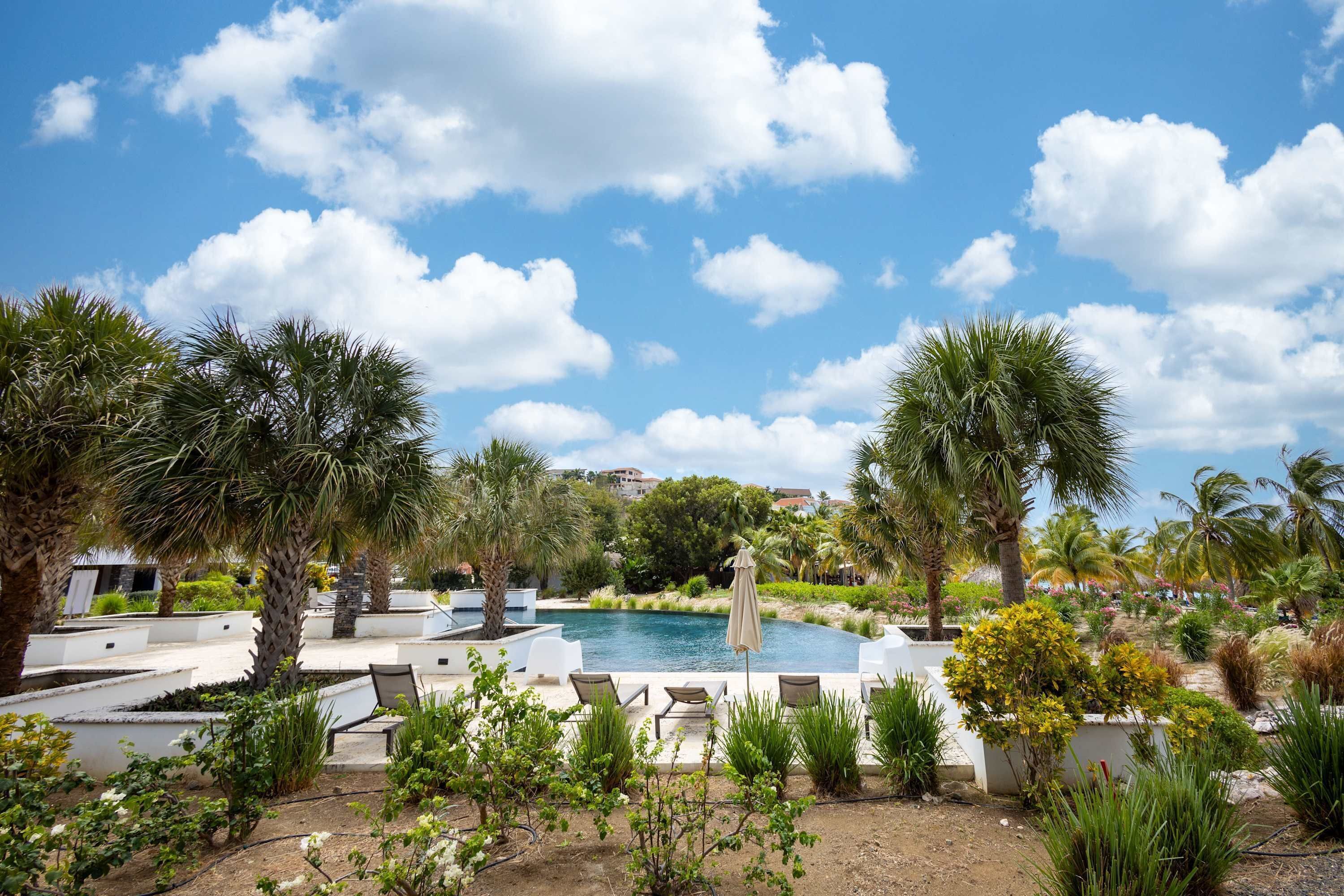 A pool area with lounge chairs, palm trees, and a clear blue sky.