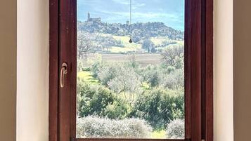 Chambre Double Deluxe, 1 trĂšs grand lit, climatisation