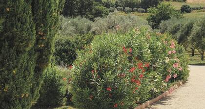 Agriturismo Scala – Eco Boutique B&B