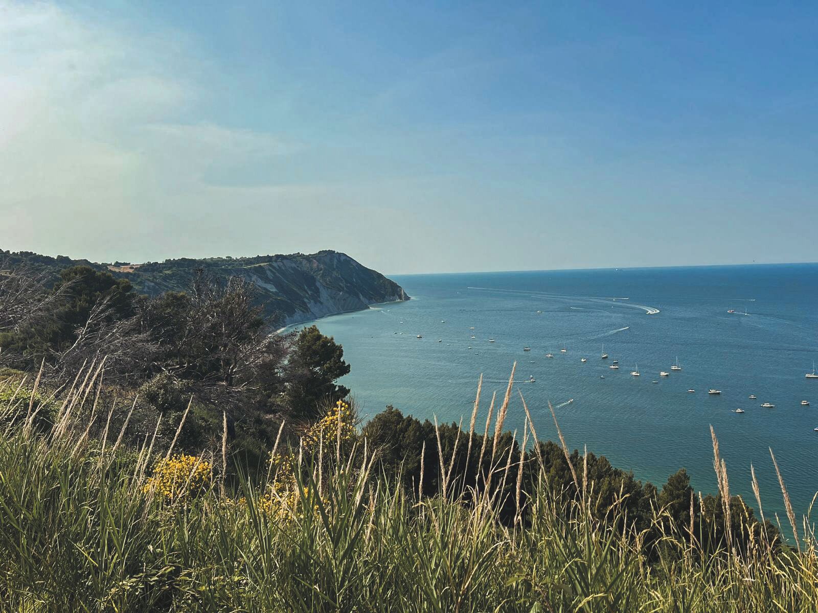 Playa en los alrededores y playa de arena blanca 