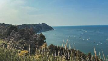 Playa en los alrededores y playa de arena blanca