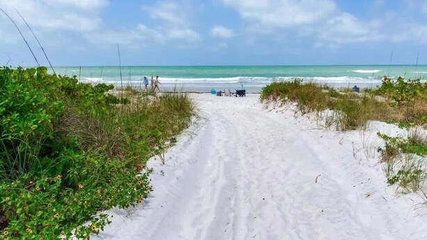 A sandy beach path leading to the ocean with some greenery on the sides. - San Remo 304 2BR Beachfront Condo (Redington Shores)