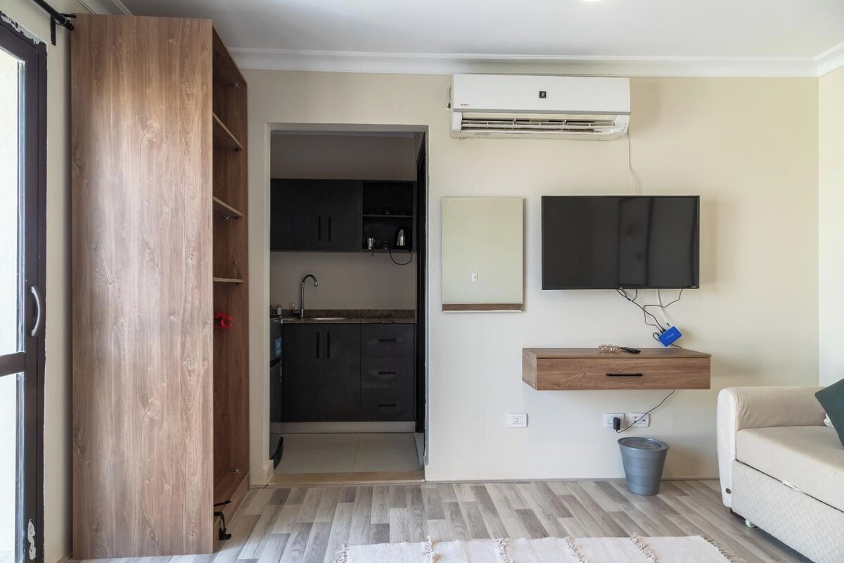 A compact living space with a kitchenette, a mounted TV, and a sofa.