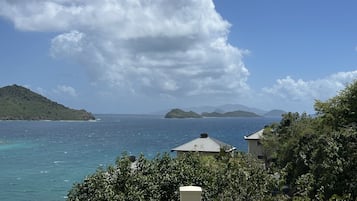 Kondominium, 1 kamar tidur | Halaman properti