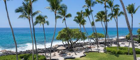 公寓客房, 1 間臥室 | 海灘