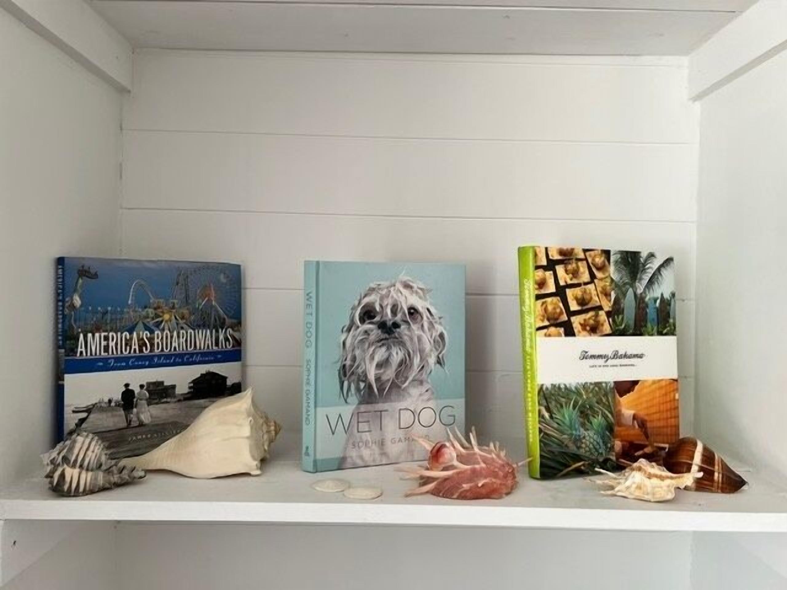 A shelf with three books: 'America's Boardwalks', 'Wet Dog', and 'Tropical Bahama'.