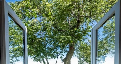 The Stables at Ballygraffan, just outside Comber in the Strangford Lough area.