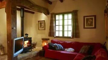 Una Smart TV, una chimenea, libros