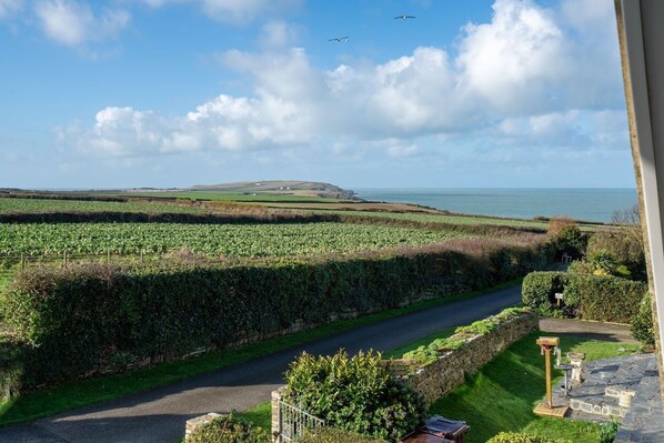 A coastal landscape with fields, a stone wall, and a road leading to a house with a stone pathway and outdoor furniture.