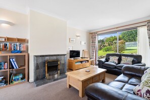 تلفزيون ذكي، مشغل دي في دي