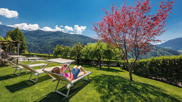 Un jardin avec un hamac et des chaises longues, un arbre aux feuilles rouges et une chaîne de montagnes en arrière-plan.
